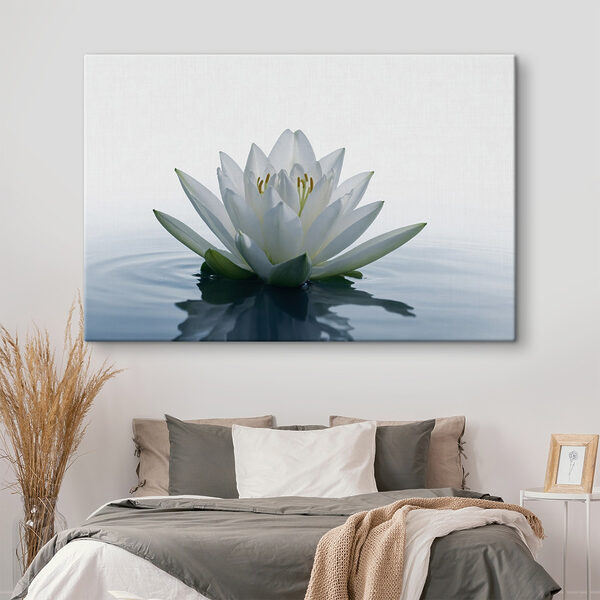 White flower in water White flower in water