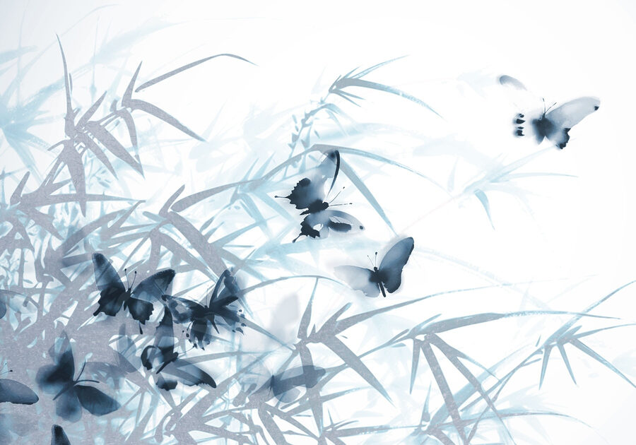 Mariposas sobre fondo blanco
