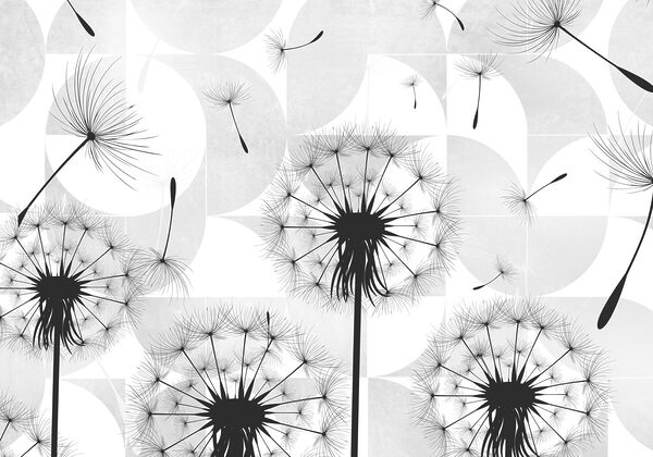 Black dandelion seeds flying in the air Black dandelion seeds flying in the air