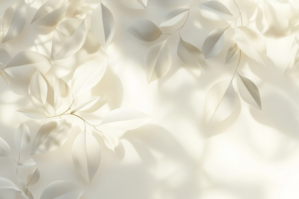 White leaves on a white surface White leaves on a white surface