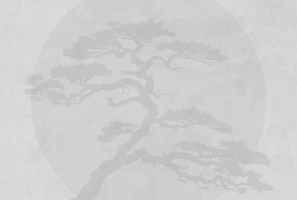 Árbol con ramas sobre fondo blanco Árbol con ramas sobre fondo blanco