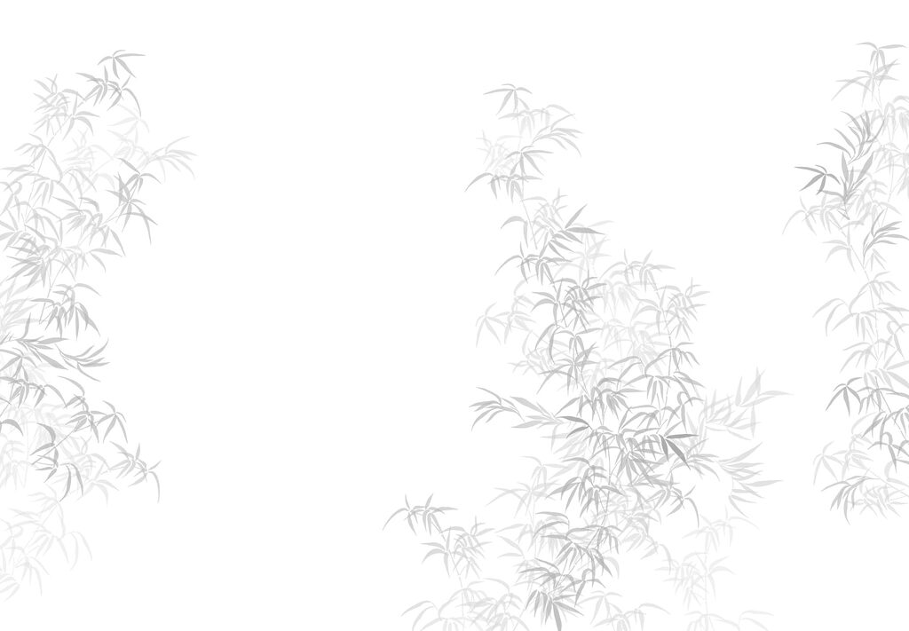 Fondo blanco con hojas Fondo blanco con hojas