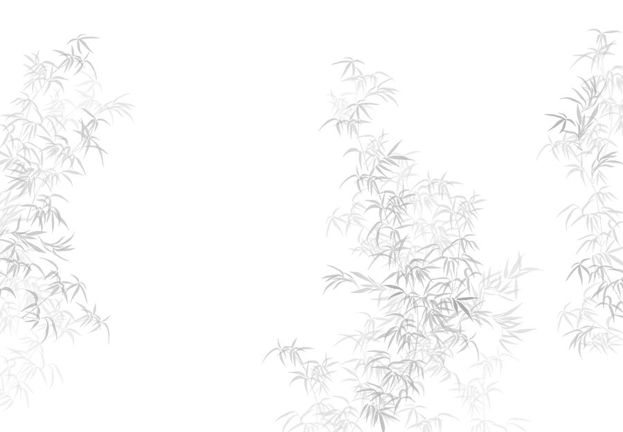 Fondo blanco con hojas