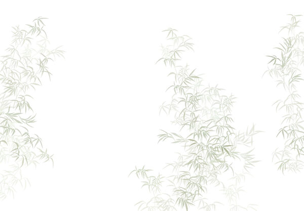 Planta con hojas Planta con hojas