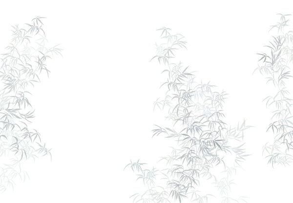 Planta con hojas Planta con hojas
