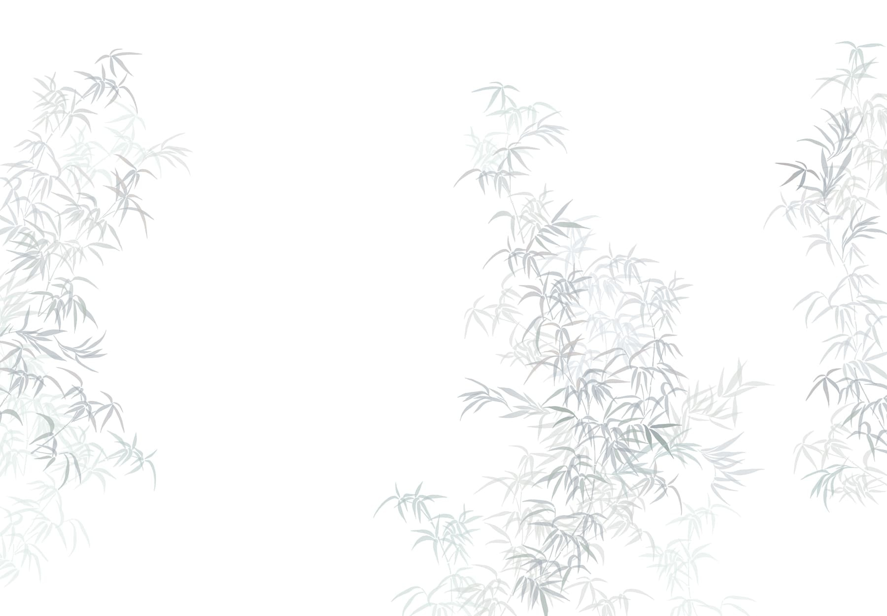 Plant with leaves on it