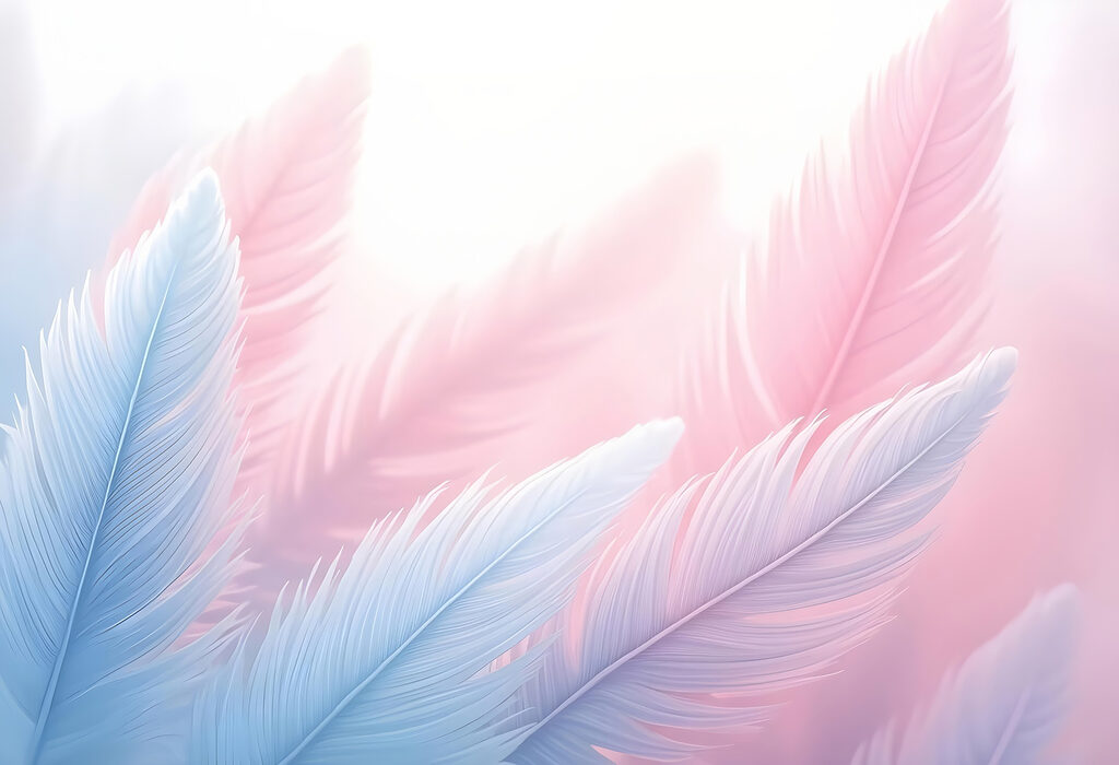 Group of feathers in light Group of feathers in light