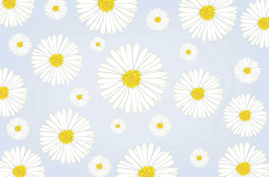 Grupo de flores blancas y amarillas