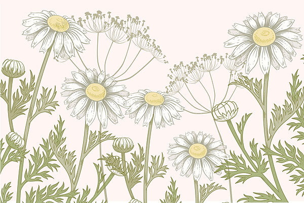 Delicadas flores en tonos suaves Delicadas flores en tonos suaves
