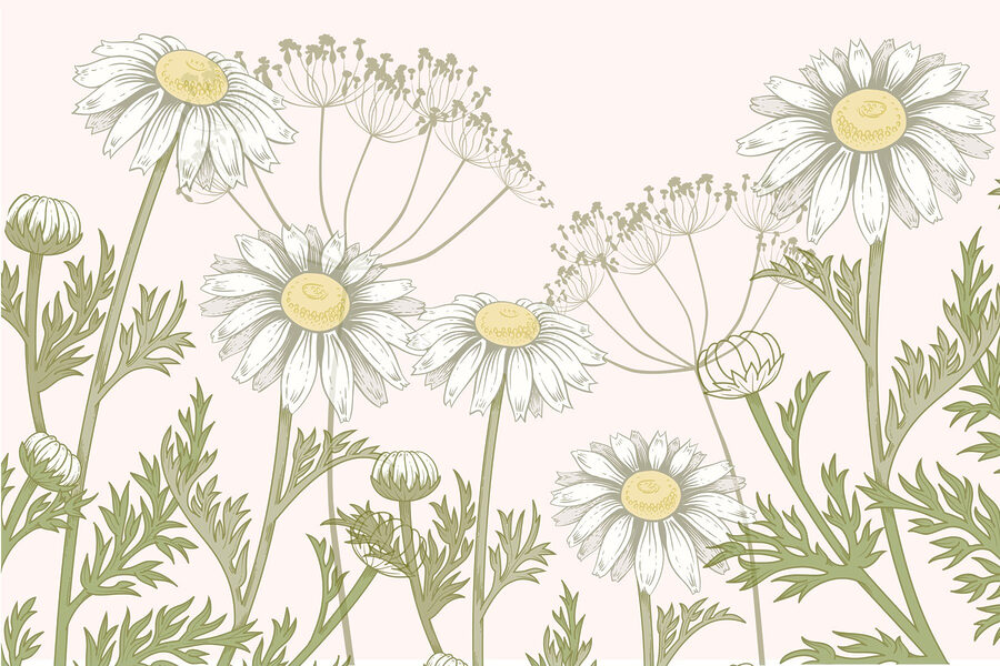 Delicadas flores en tonos suaves