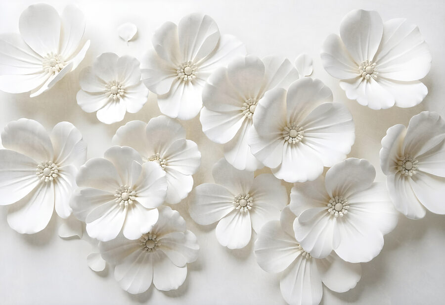 Grupo de flores blancas
