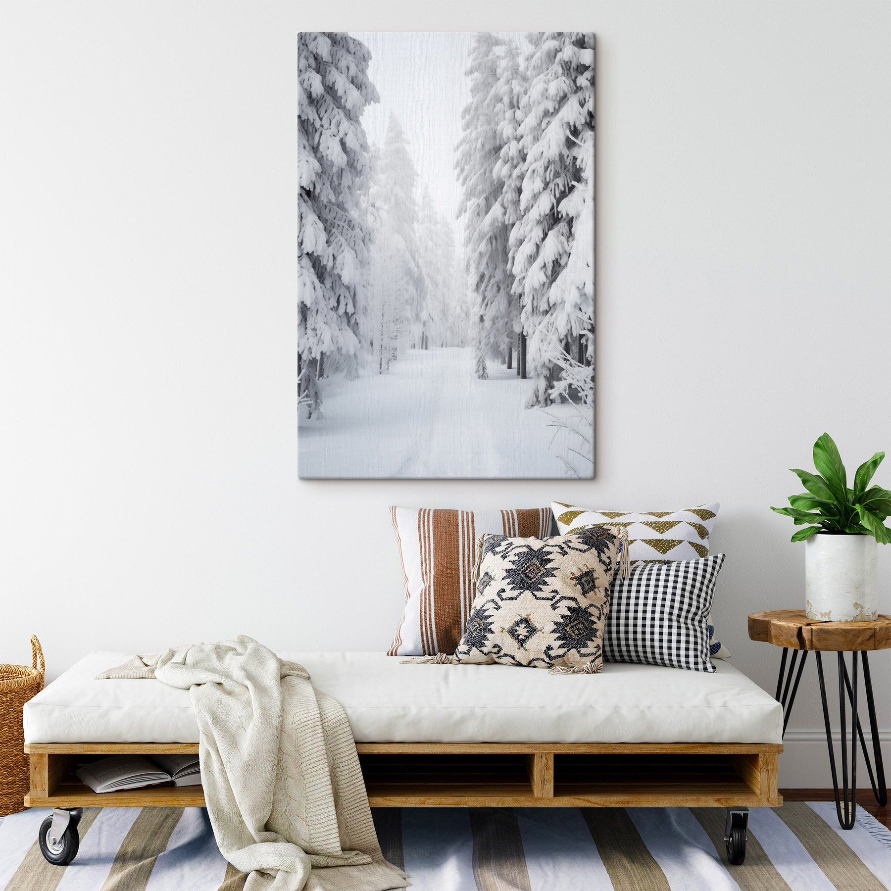Snowy path with trees Snowy path with trees