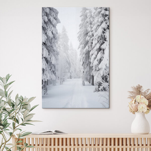 Snowy path with trees Snowy path with trees
