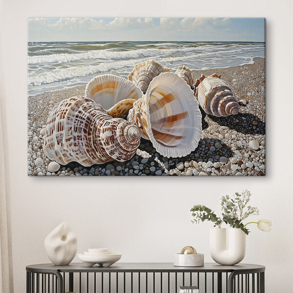 Seashells on a beach Seashells on a beach