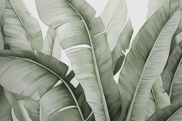 Lush green leaves in gentle waves