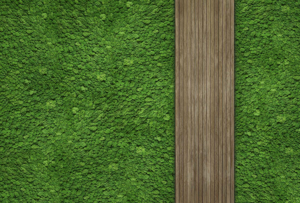 Tablón de madera sobre una pared verde Tablón de madera sobre una pared verde