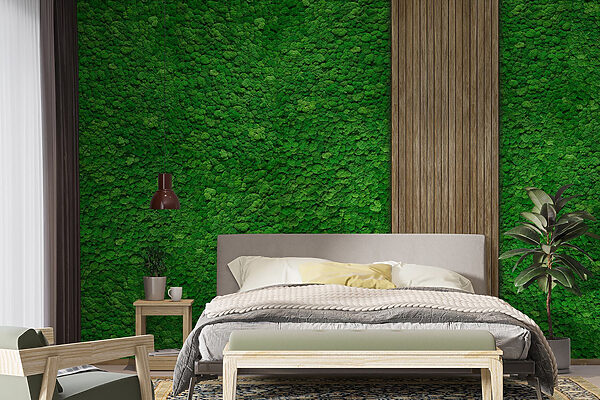 Tablón de madera sobre una pared verde Tablón de madera sobre una pared verde