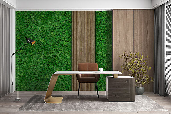 Tablón de madera sobre una pared verde Tablón de madera sobre una pared verde
