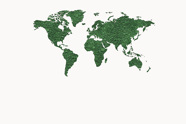 Mapa del mundo Mapa del mundo