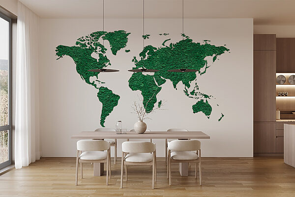 Mapa del mundo Mapa del mundo