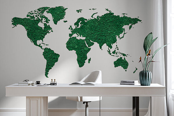 Mapa del mundo Mapa del mundo