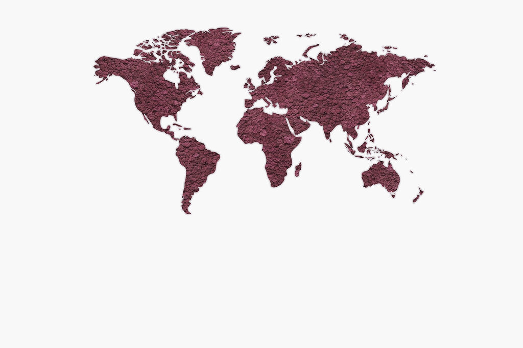 Mapa del mundo Mapa del mundo