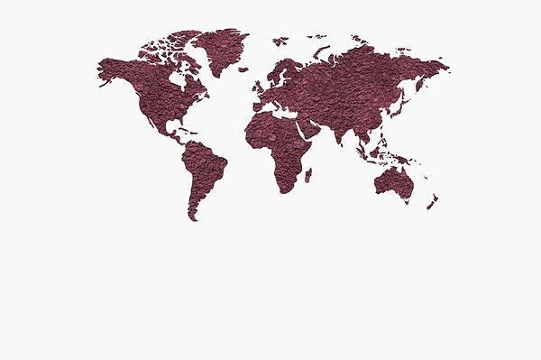 Mapa del mundo Mapa del mundo