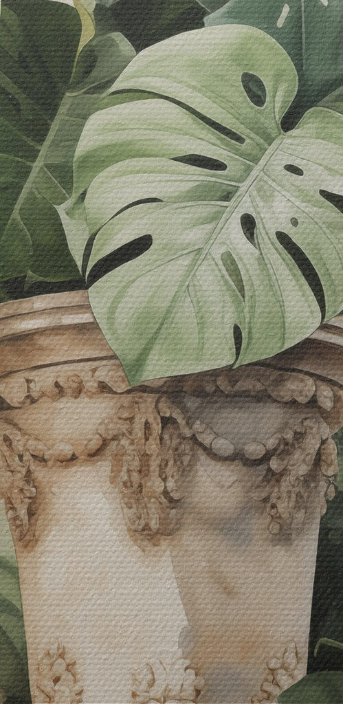 Plant in a vase