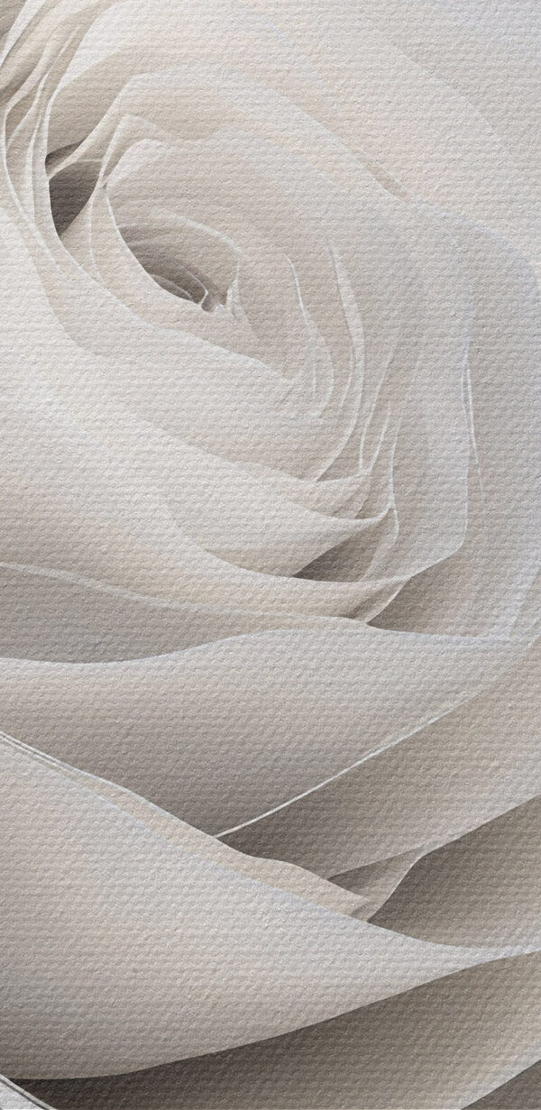 Delicate petals in soft harmony Delicate petals in soft harmony
