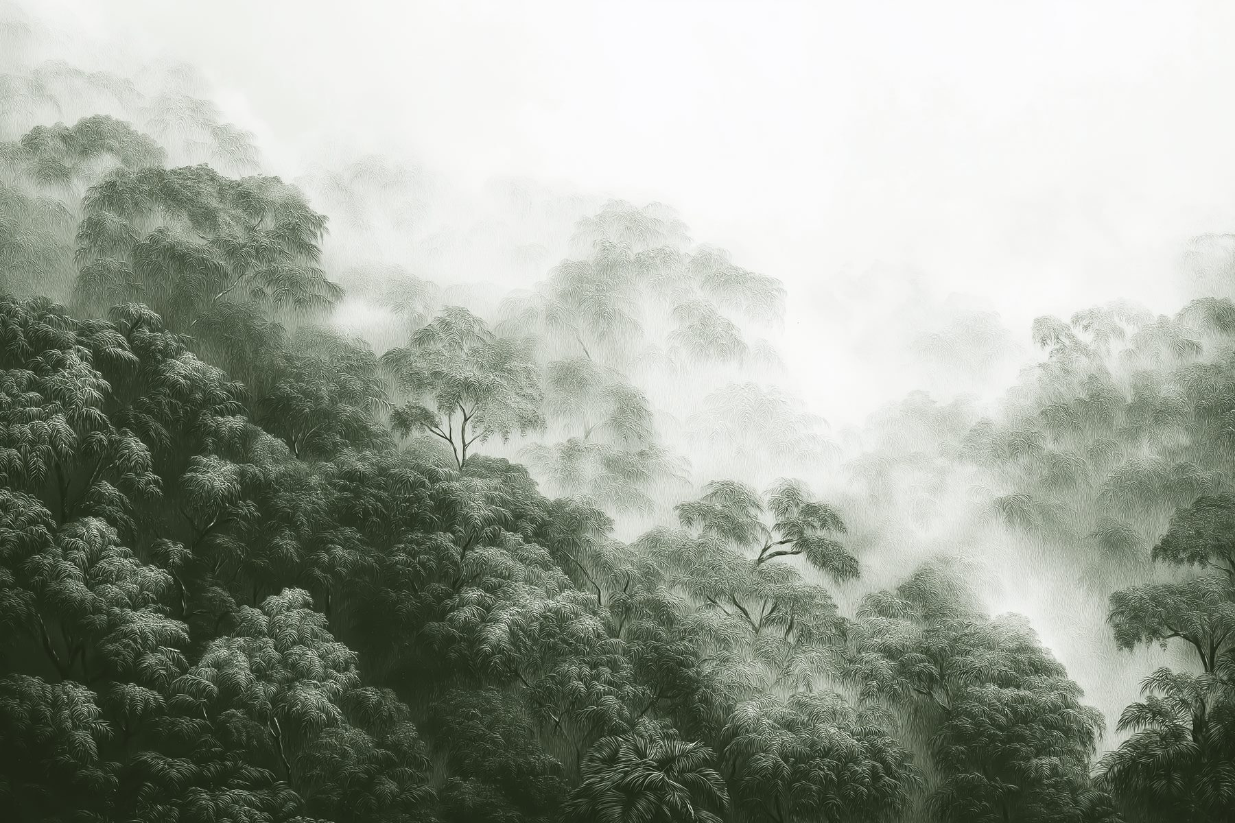 Foggy forest with trees Foggy forest with trees