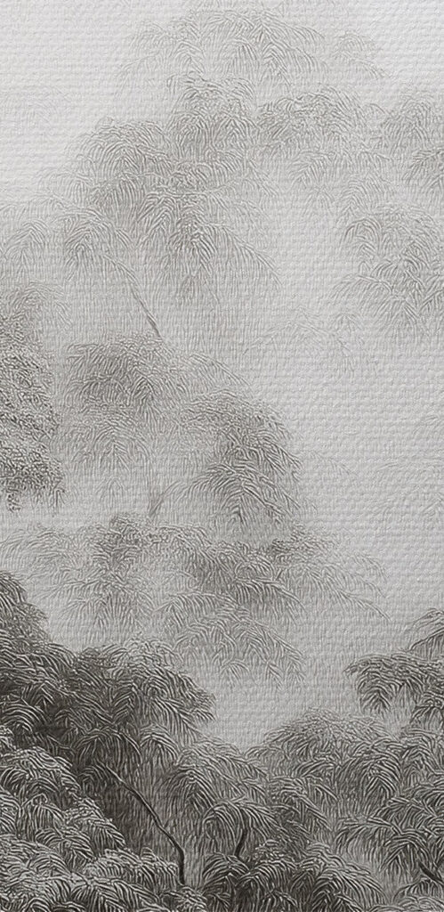 Foggy forest with trees Foggy forest with trees
