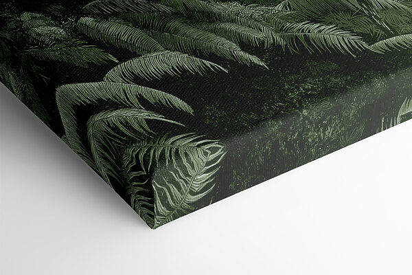 Group of palm trees in a forest