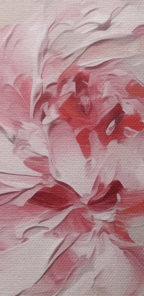 Delicate petals in soft hues Delicate petals in soft hues