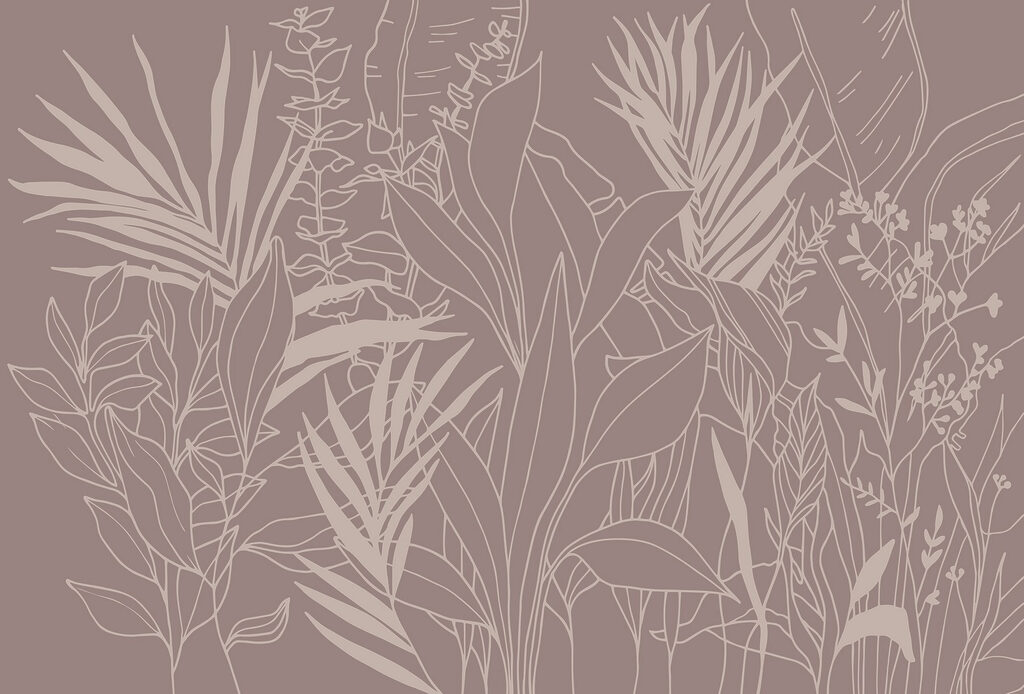 Dibujo de plantas y hojas Dibujo de plantas y hojas