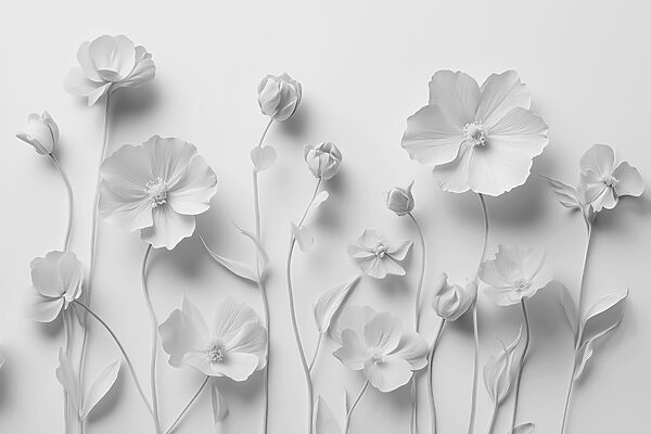 Group of white flowers Group of white flowers