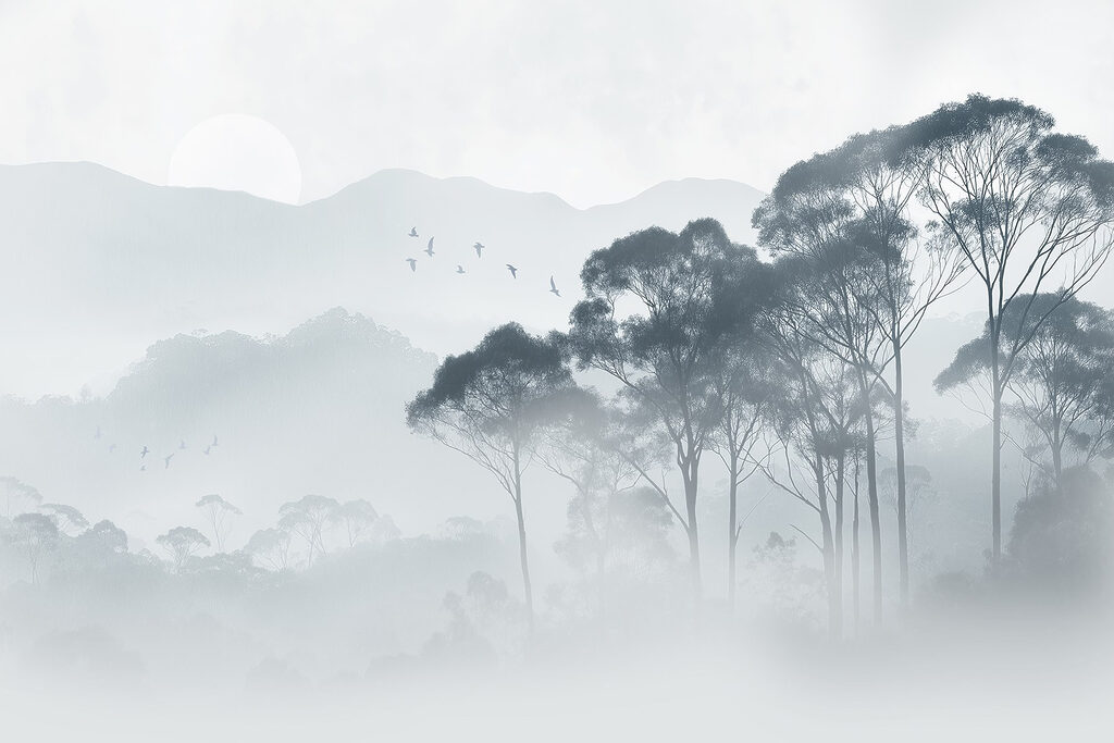 Grupo de árboles en la niebla Grupo de árboles en la niebla