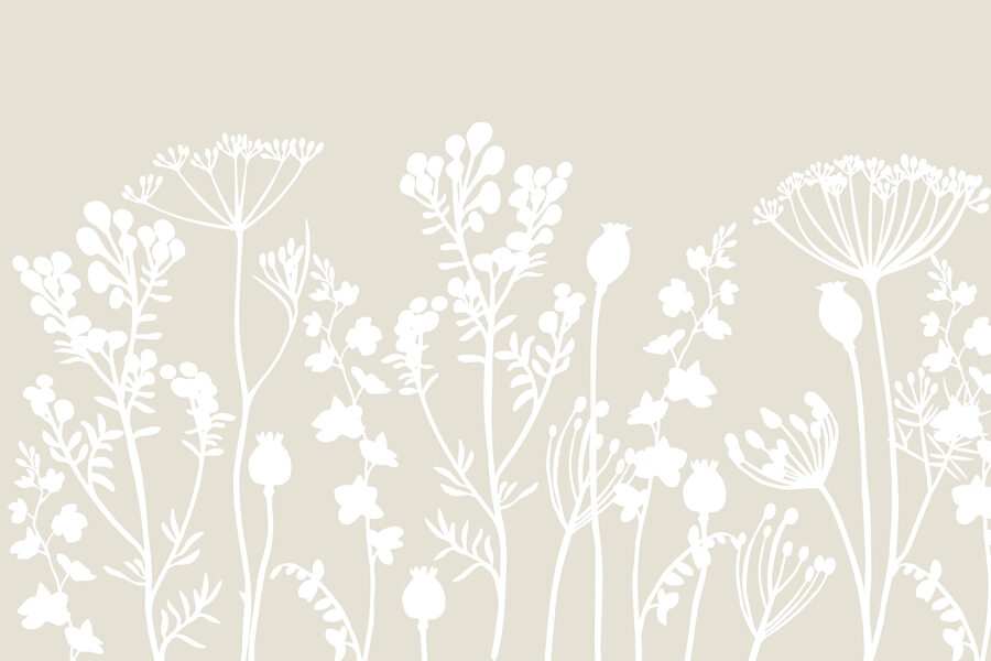 Siluetas blancas de flores