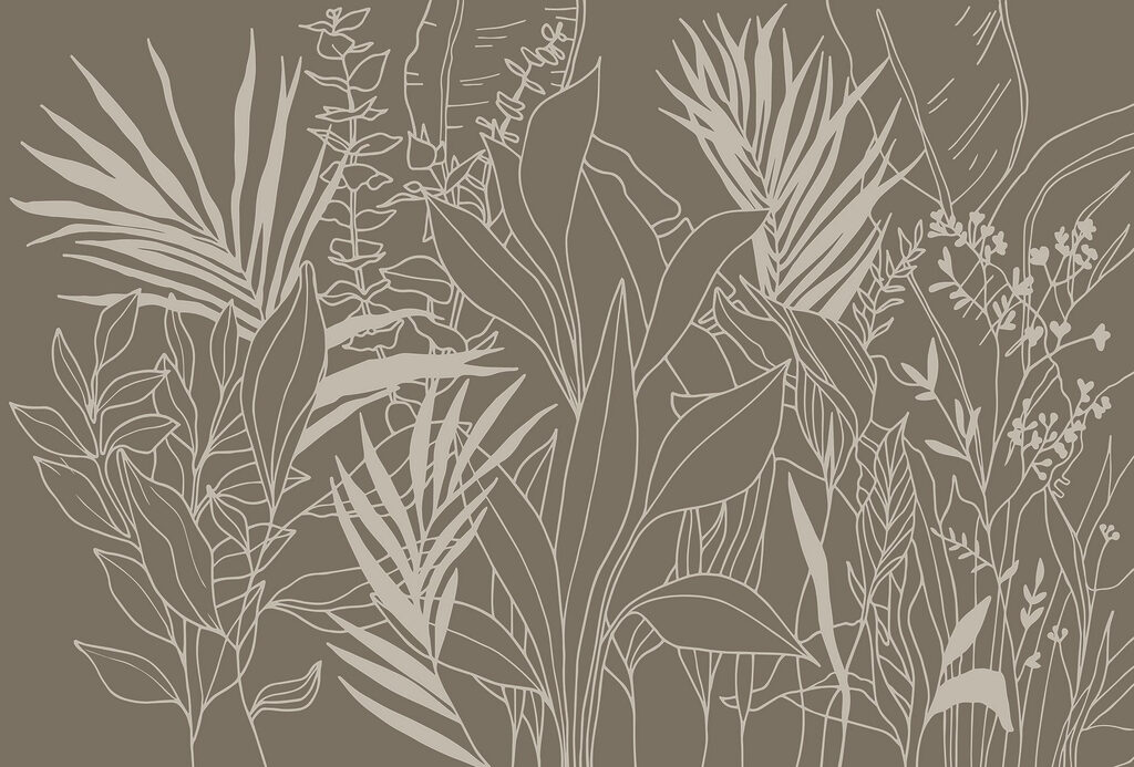 Dibujo de plantas y hojas Dibujo de plantas y hojas