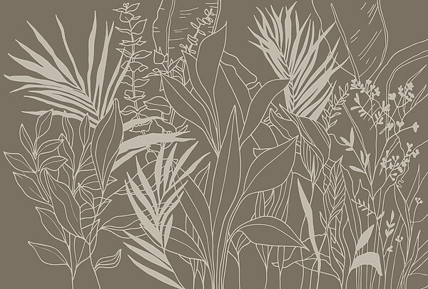 Dibujo de plantas y hojas Dibujo de plantas y hojas