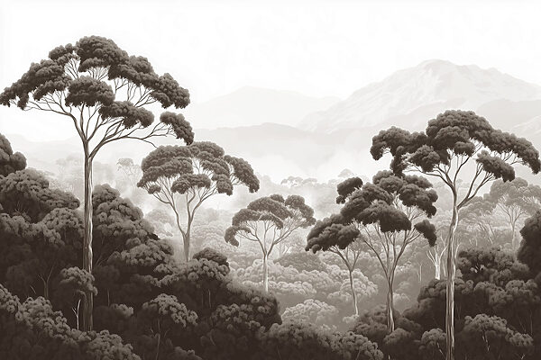 Bosque con árboles y montañas al fondo Bosque con árboles y montañas al fondo