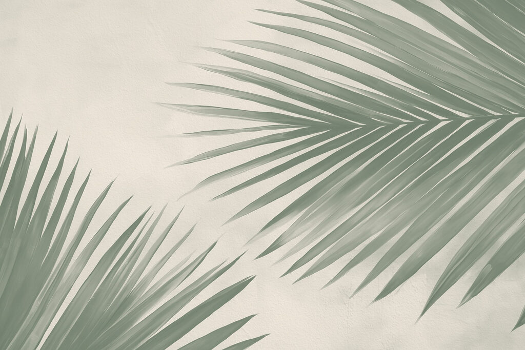 Hojas de palmera verdes y frescas, el toque de la naturaleza Hojas de palmera verdes y frescas, el toque de la naturaleza