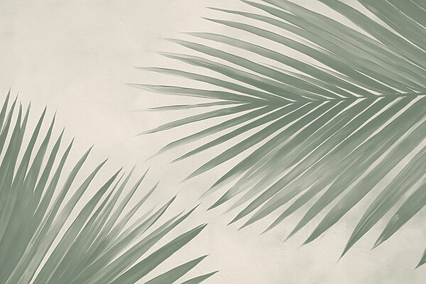 Hojas de palmera verdes y frescas, el toque de la naturaleza Hojas de palmera verdes y frescas, el toque de la naturaleza