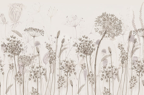 Drawing of flowers and plants