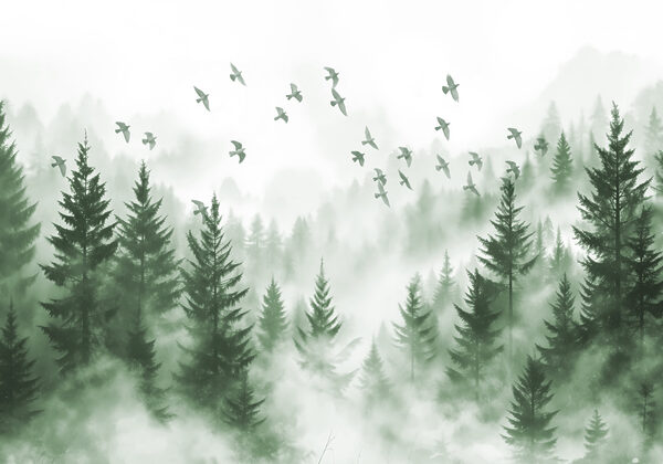 Birds flying over a forest
