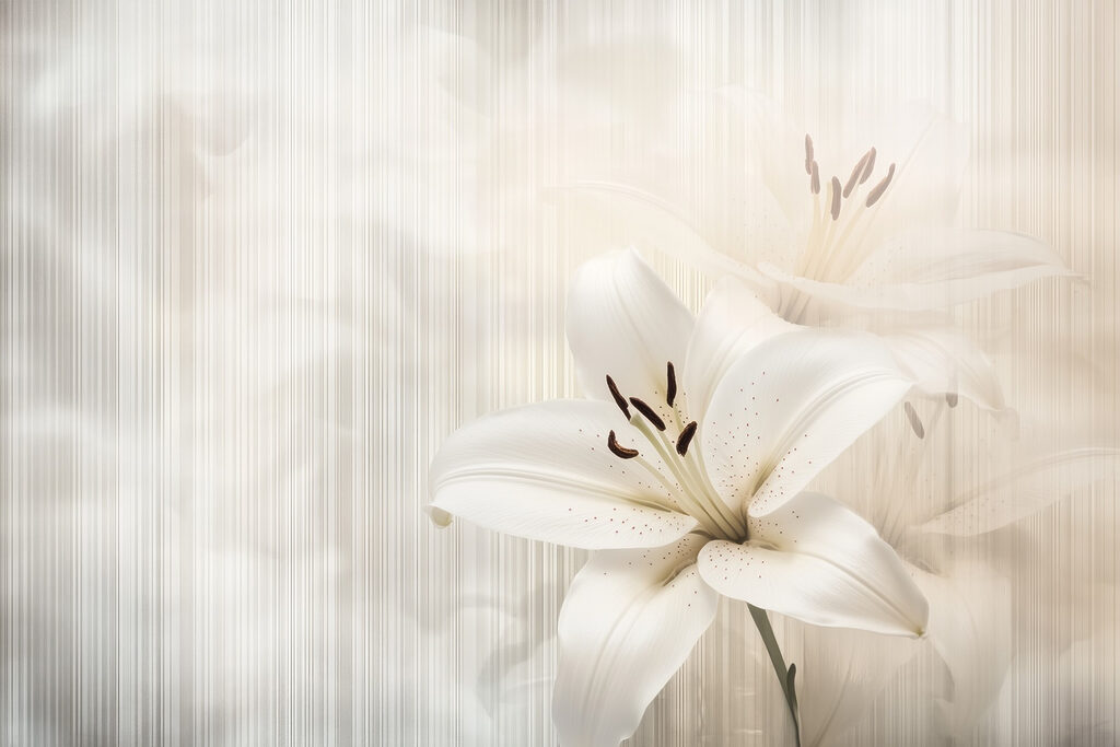 Elegant white lilies in soft hues Elegant white lilies in soft hues