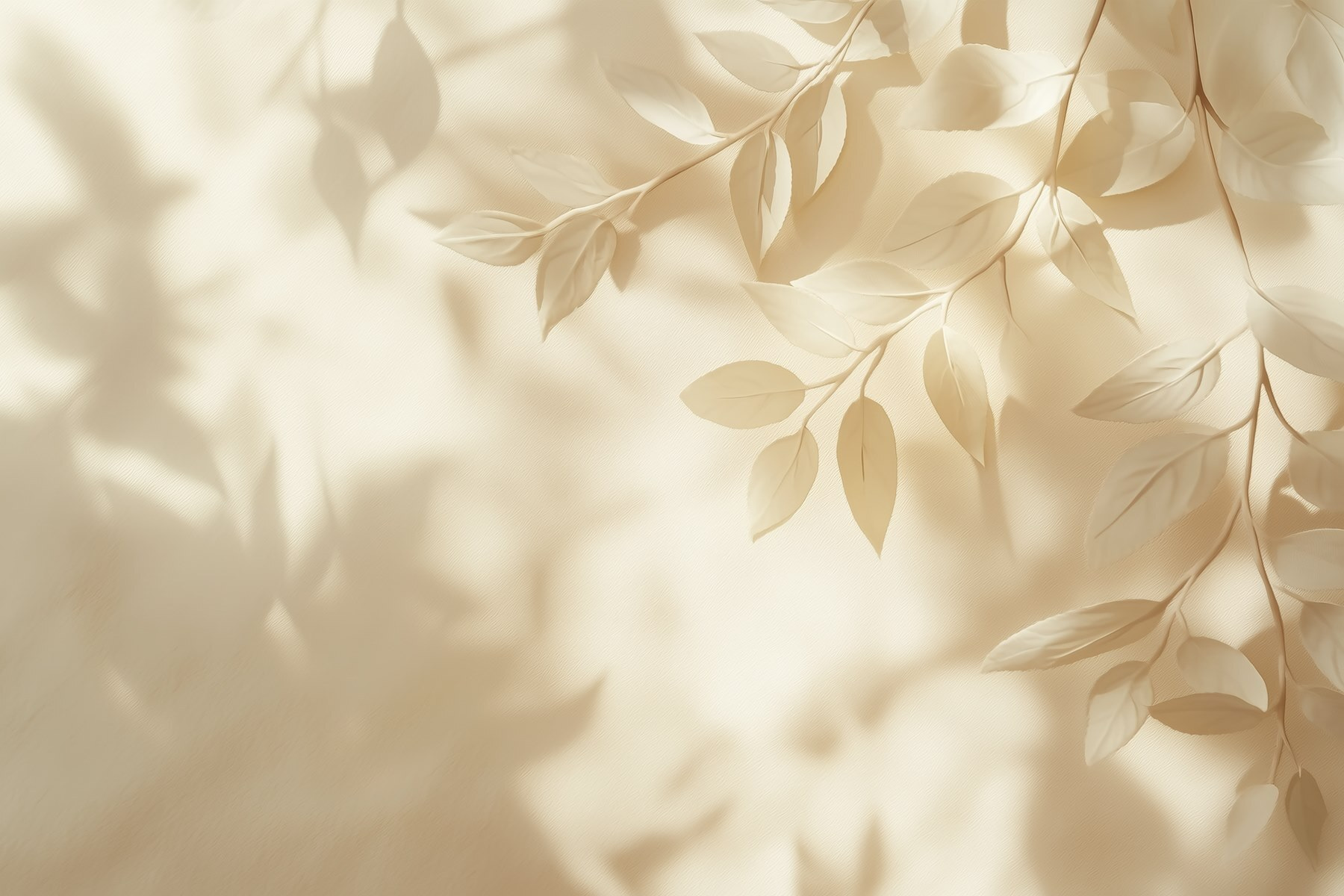 White leaves on a white surface White leaves on a white surface