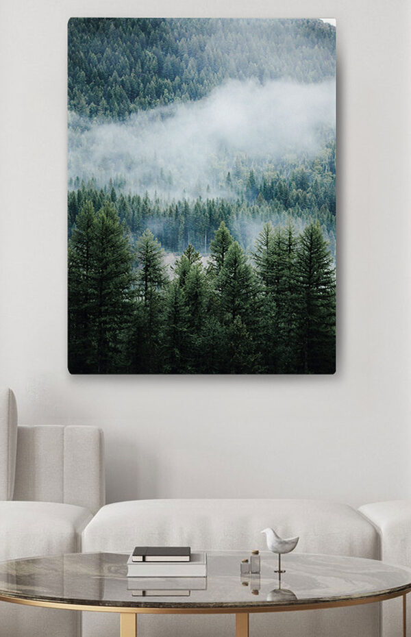 Cuadros Bosque con niebla y nubes (SKU: s34825) Cuadros Cuadros Bosque con niebla y nubes (SKU: s34825)