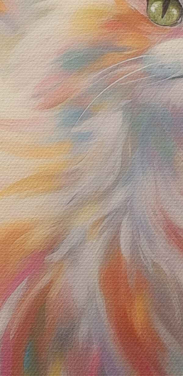 Cat with long hair