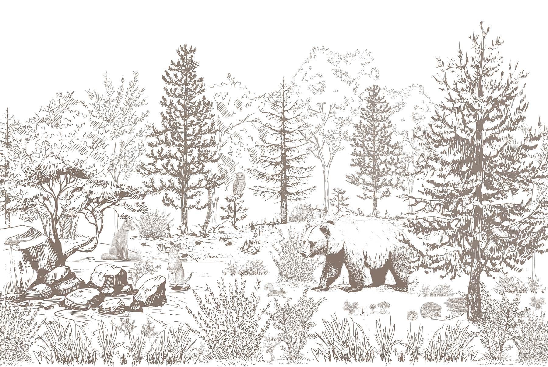 Bear walking in the woods