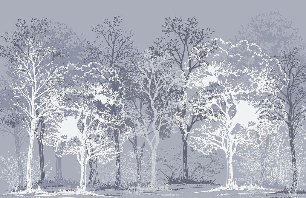 Grupo de árboles en un bosque Grupo de árboles en un bosque